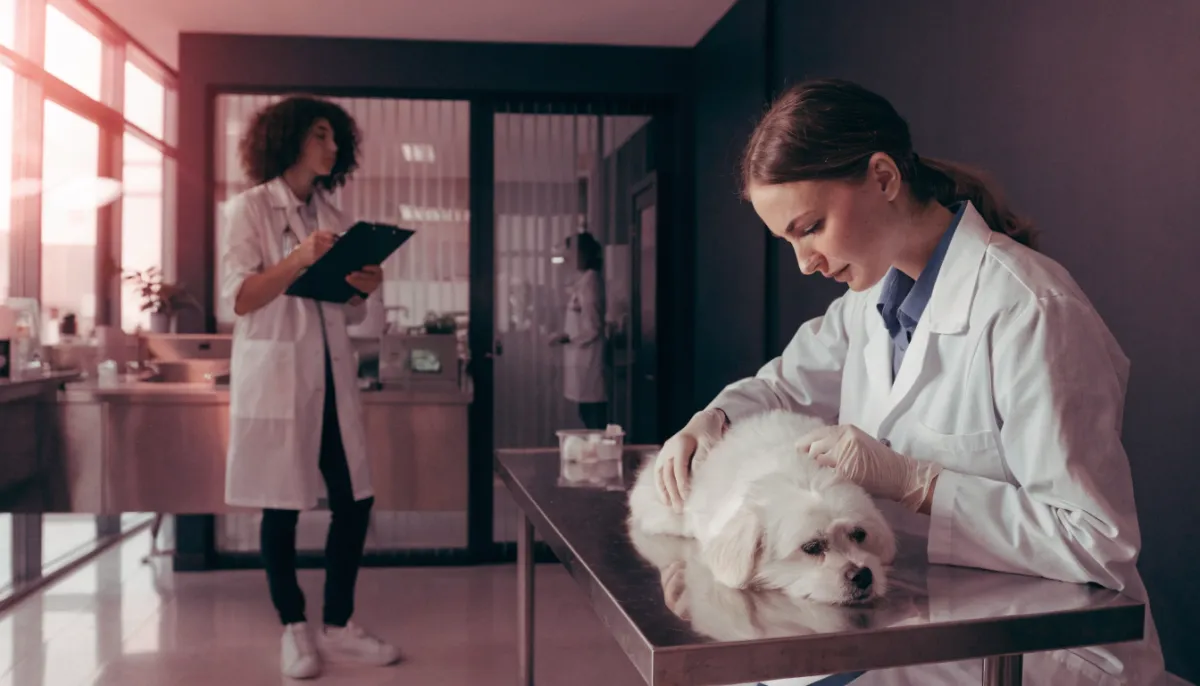 Veterinary Clinic Al Furjan