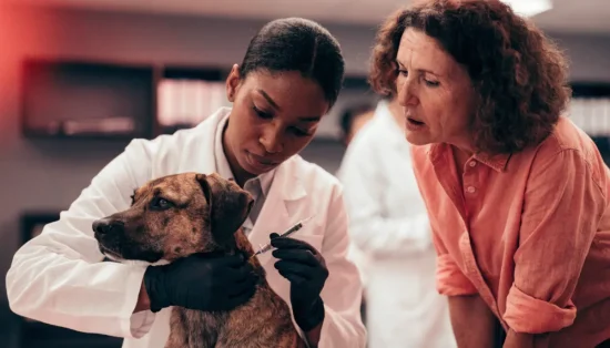pet microchipping dubai