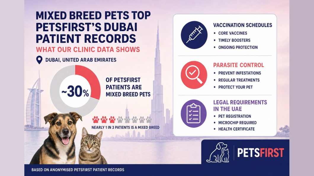 Infographic: nearly 1 in 3 PetsFirst patients is a mixed breed pet — roughly 30% of patient records