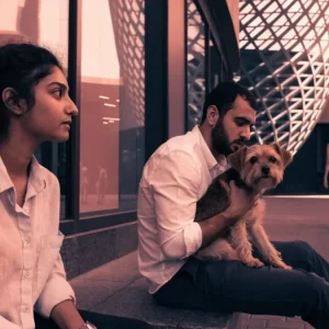 vet at home visit dubai