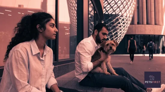 vet at home visit dubai