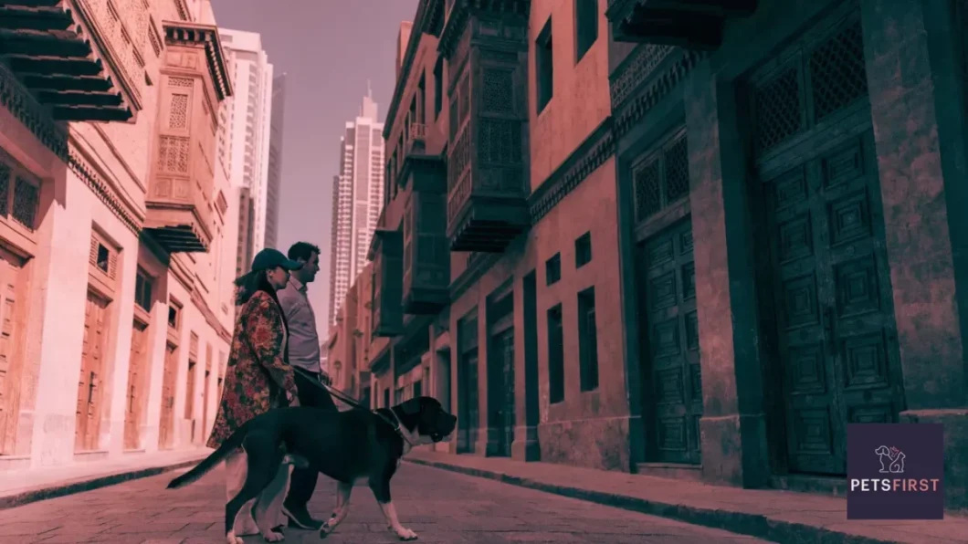 The Best Vet in Dubai