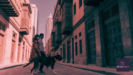 The Best Vet in Dubai