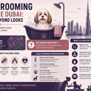 dog grooming near me dubai